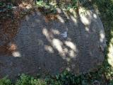 image of grave number 761277